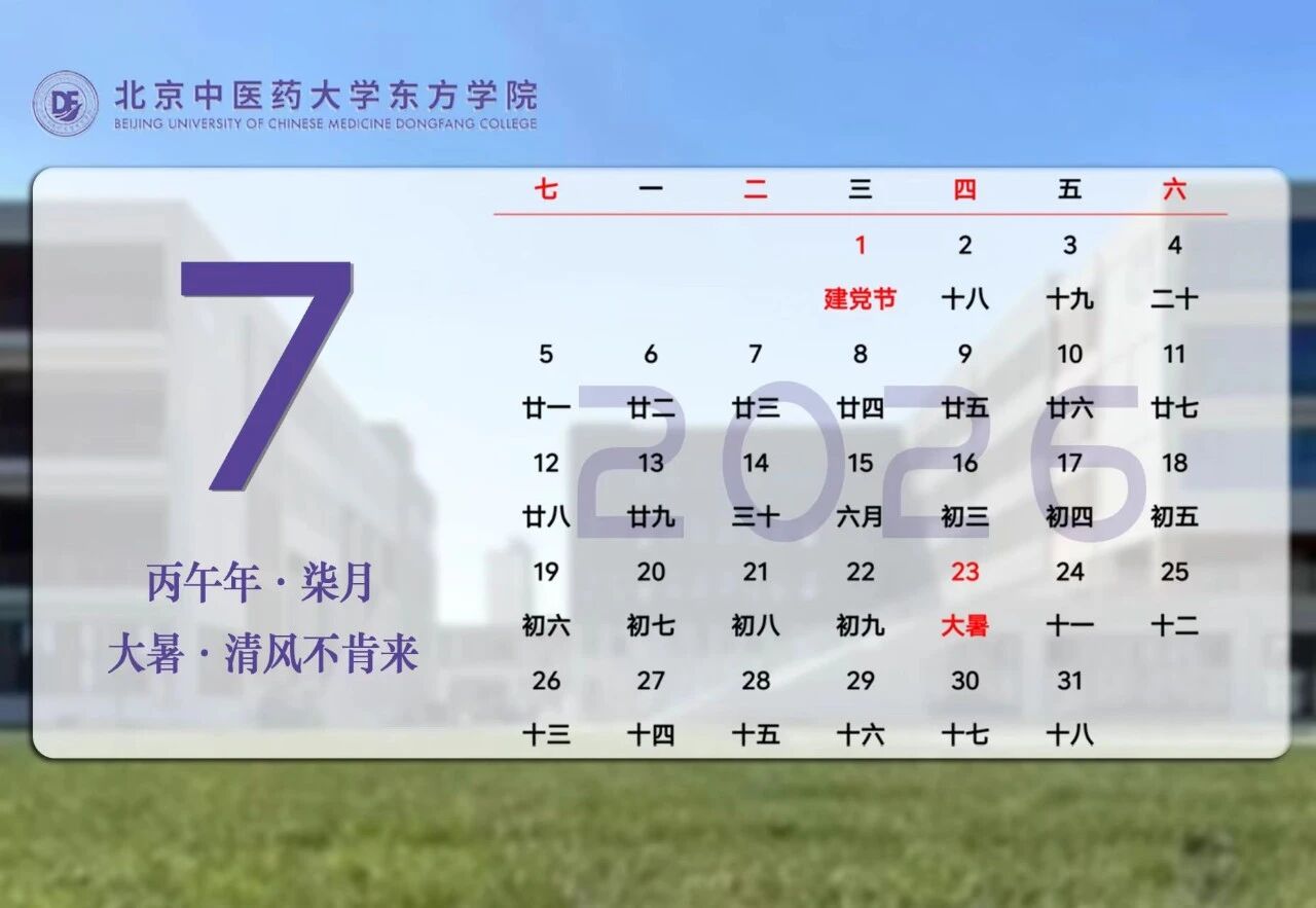 462cbd04cbd44b375a6fd54f149d5b74