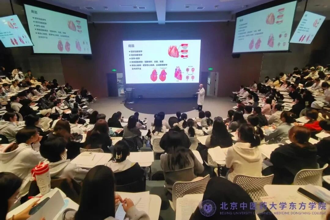 d172dc9d11544e952df208d209796cde