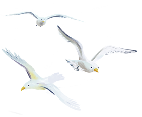 05bf49f9d64fa1157037a8a0bb64274c