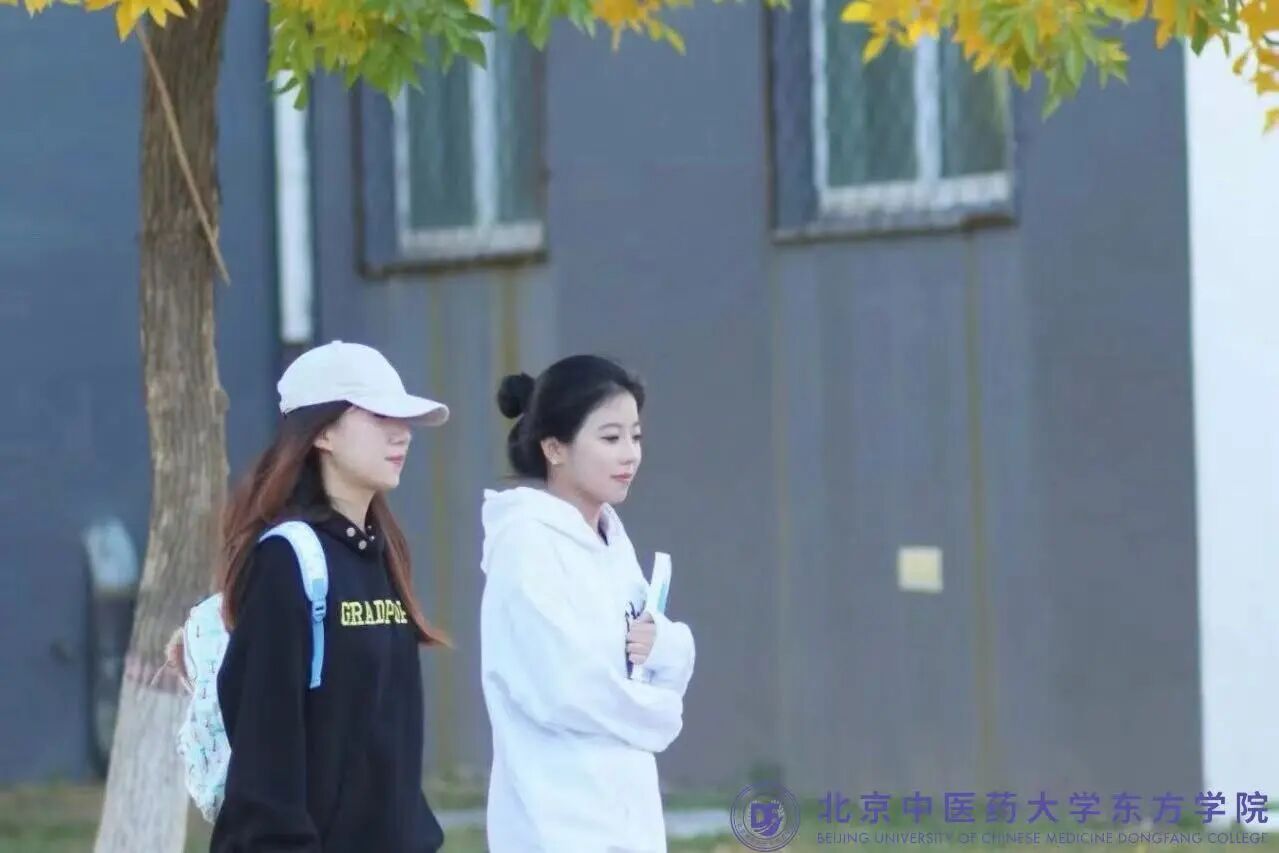 0adf66cd5638c06533c7ed736e5468b0