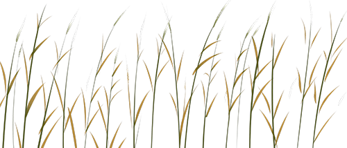 0d356dc3c3457e53c3a7d214ecf29764