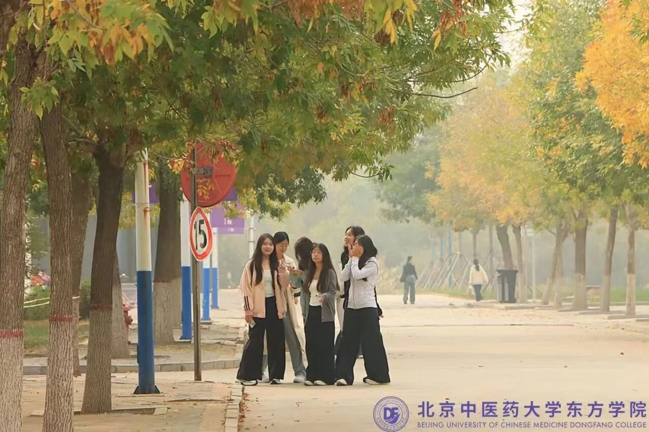 bf012c93c35215172da2b230f84c0d47