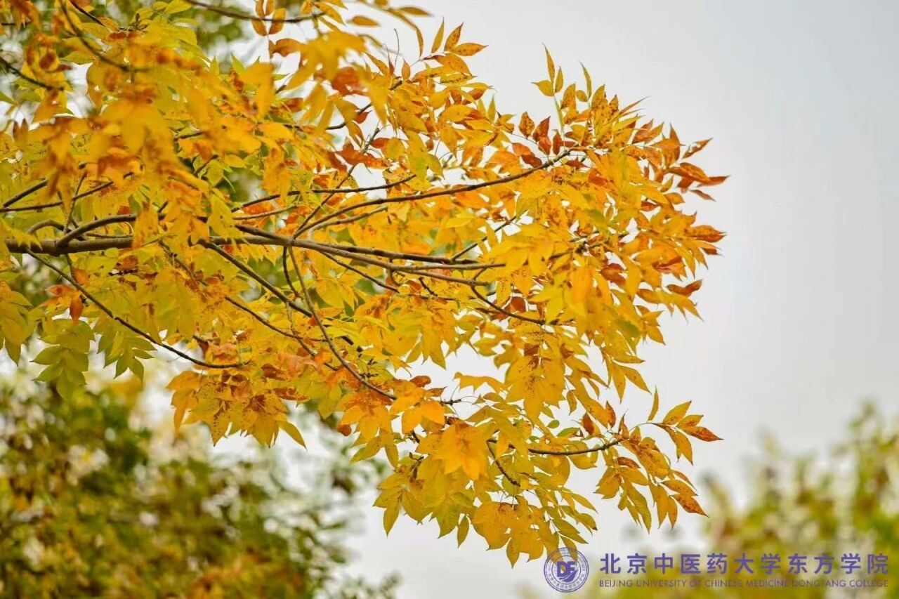 0924357dbb2750536f7e5db56fff1ef4