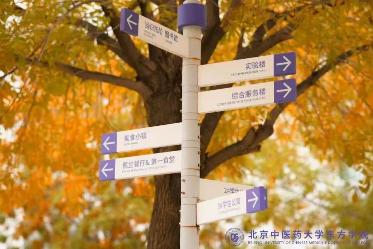 8a83ccdb0d0b75601e428cd87893af87