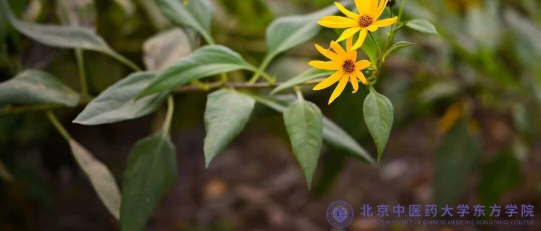 9a4a829588cbd82e1db5fd133260ffcf