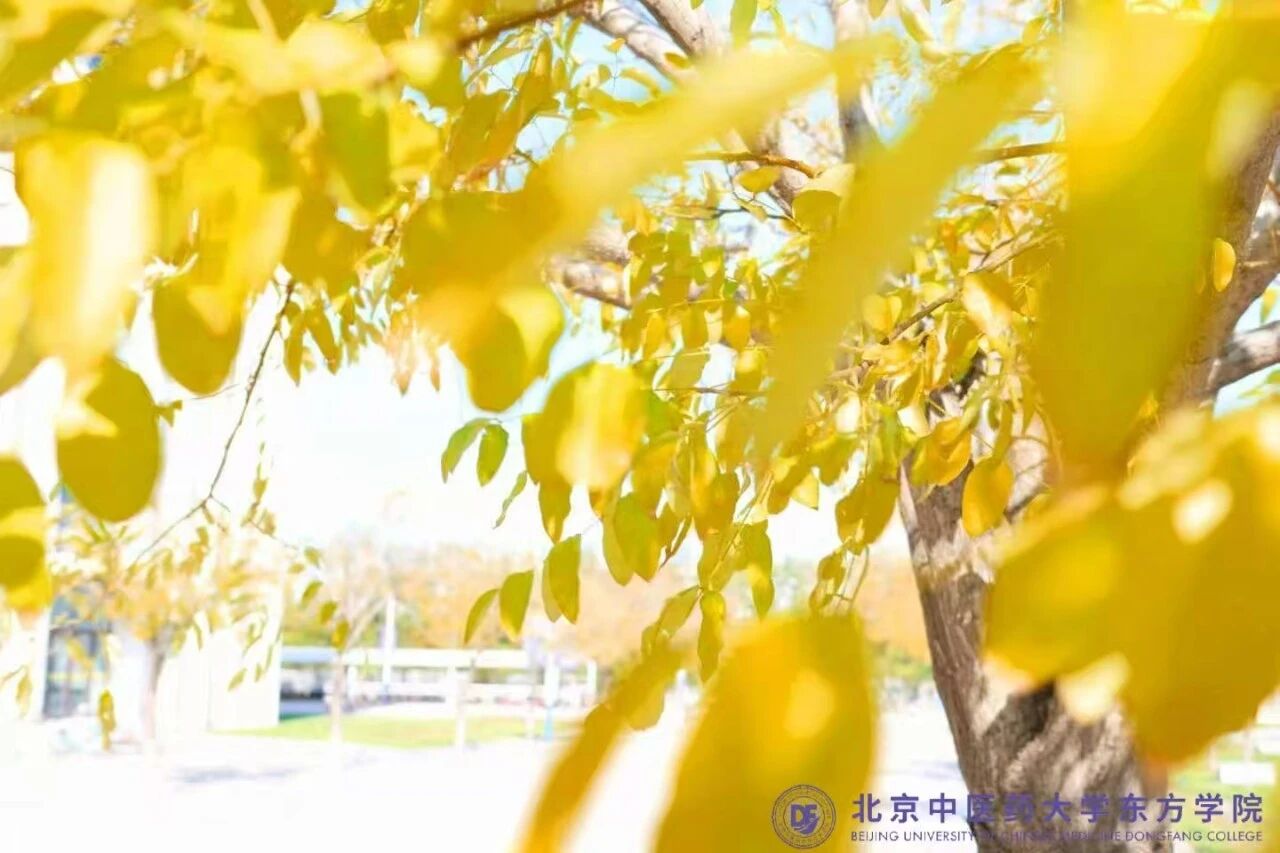 9f74a0375a4aacd594ce0445c5ae6c6f