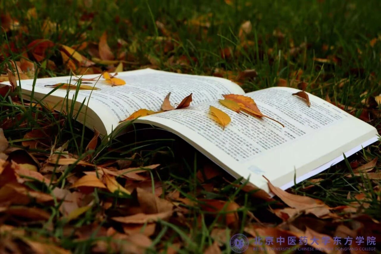 d5225810ea3b6958ffeeaa89fe9e6488