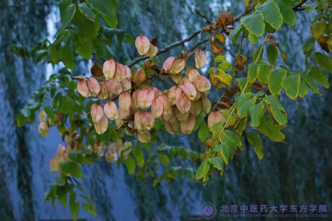 f3ac21b34cde3028d88846906d29c0b2