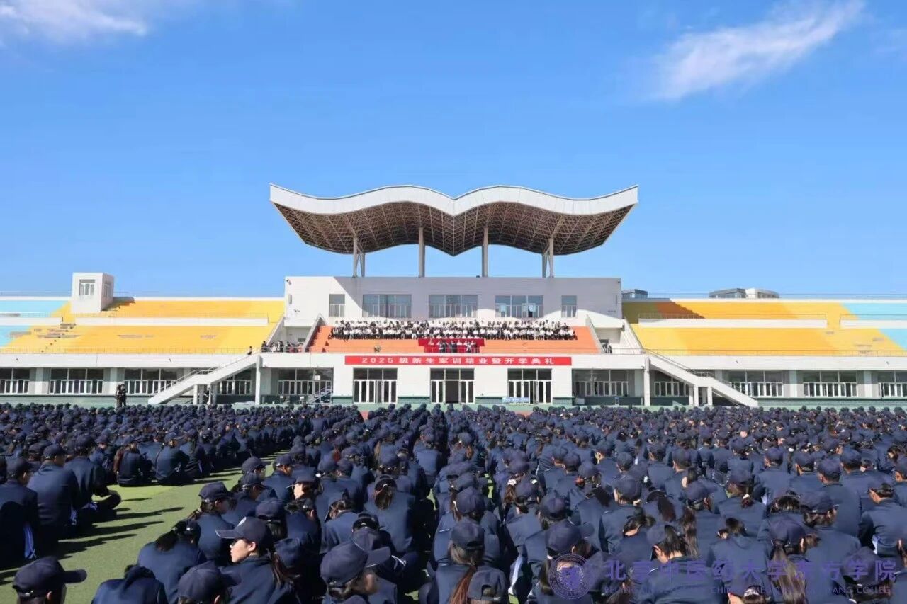 10c6d19e15da14ee37eee3102cccf501